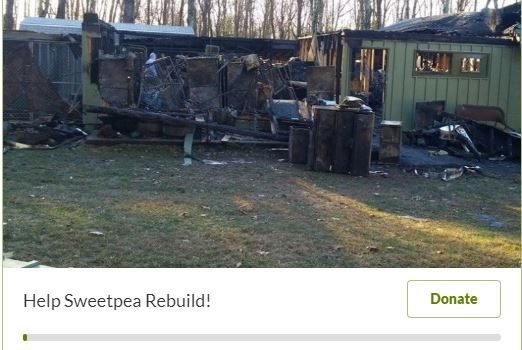 Help Sweetpea Rebuild